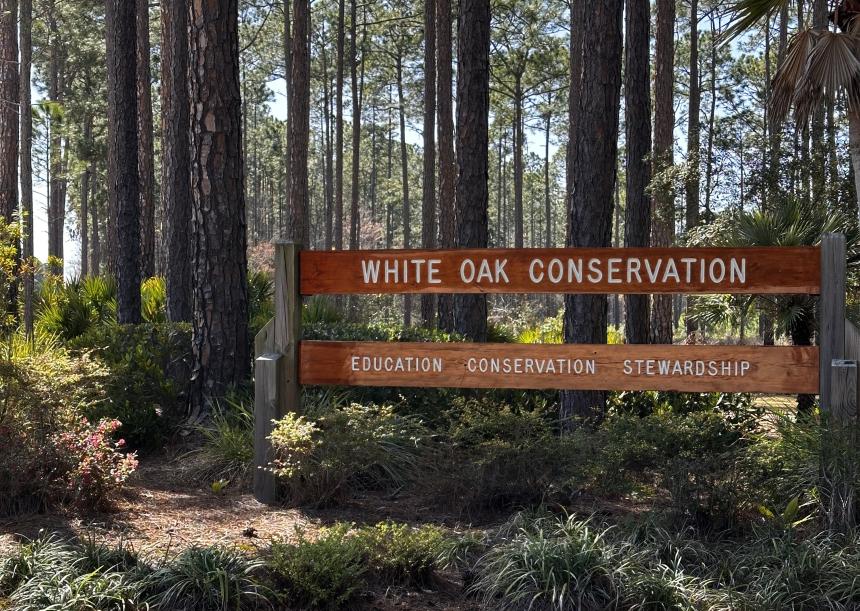 White Oak Conservation sign in the forest