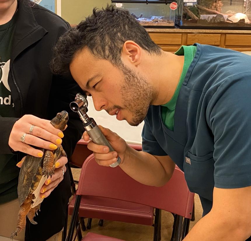 Julian Rivera examining a turtle at the Staten Island Zoo