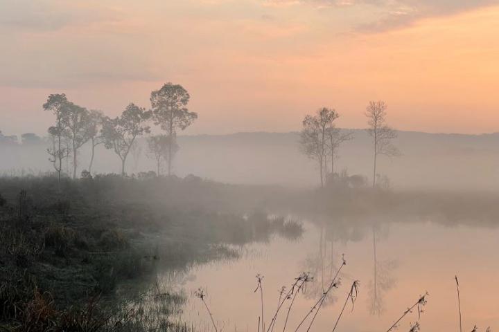 Foggy landscape at sunrise