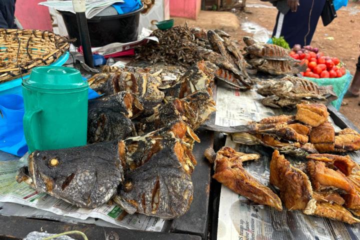 Fried Nile perch and tilapia sitting out on a table for sale in an outdoor market.