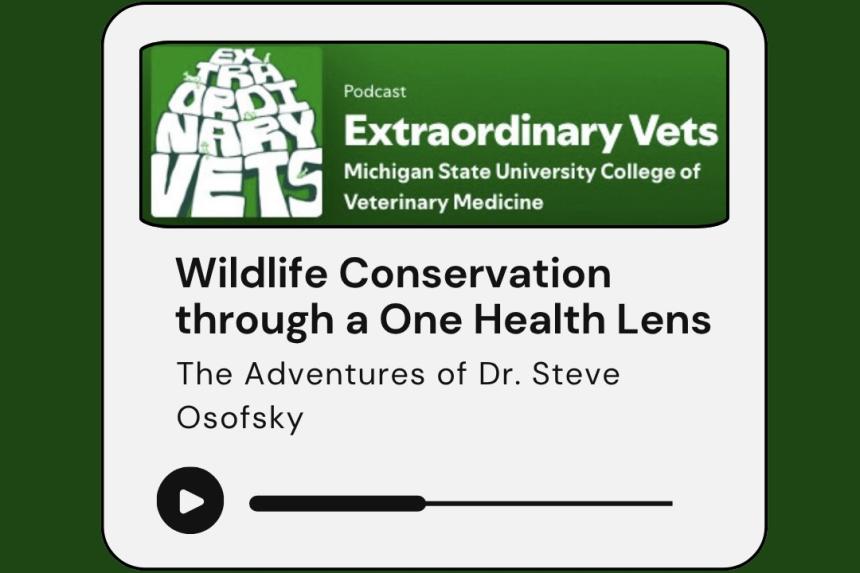 Extraordinary Vets Podcast preview