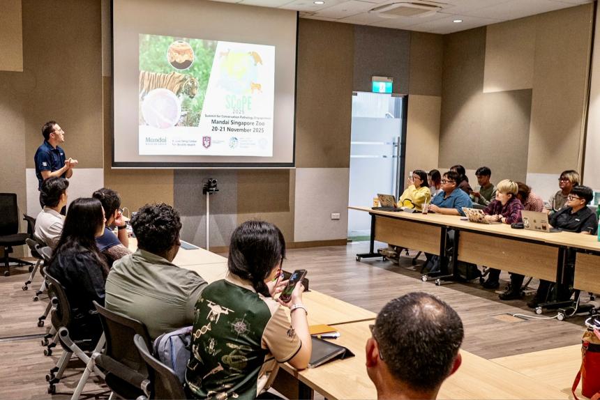 Carmen Smith presenting to several people sitting at tables.