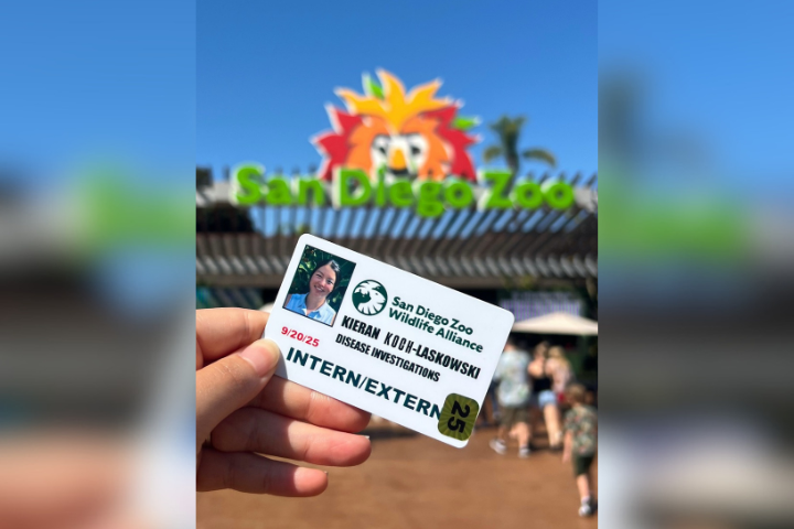 A hand holding an ID card in front of the San Diego Zoo