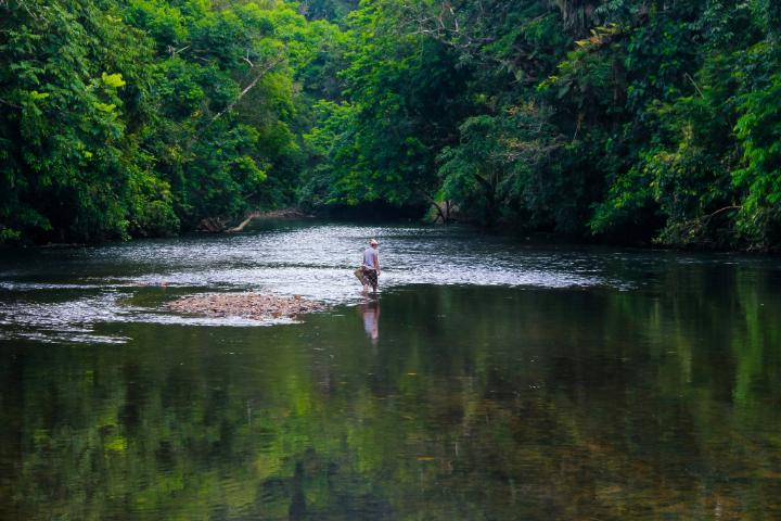 Person standing in a shallow river surrounded by trees and lush greenery.