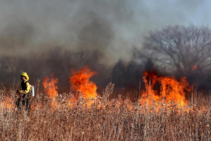 A firefighter crosses in front of a fire in a dry field.