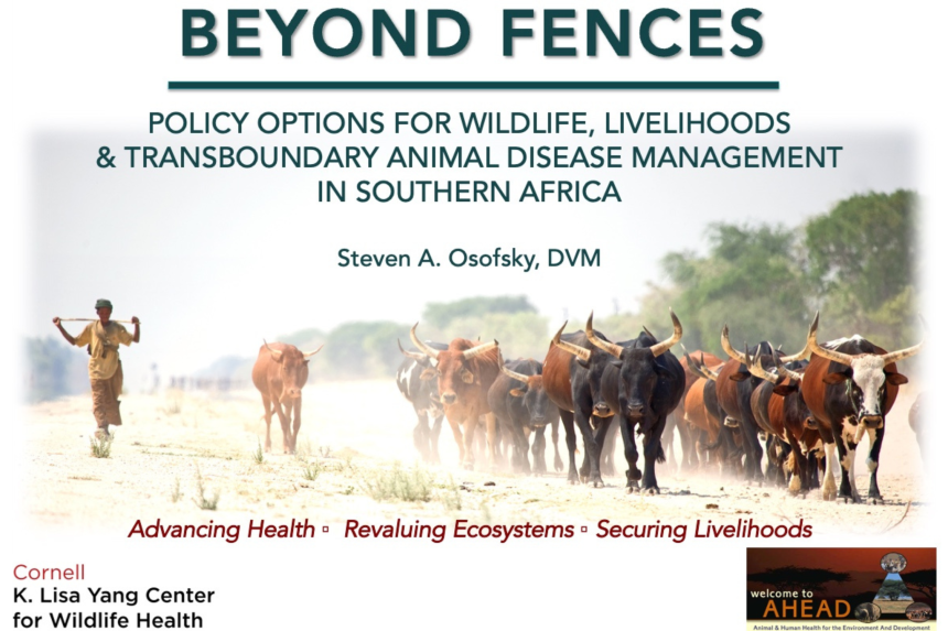 Beyond Fences Policy Options for Wildlife Livelihoods and Transboundary animal disease management in southern africa