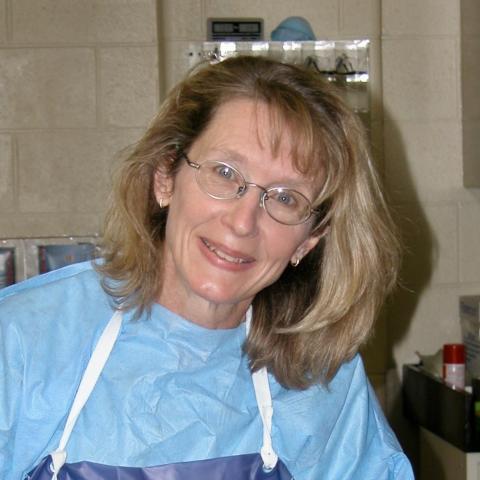 Carol Meteyer's headshot